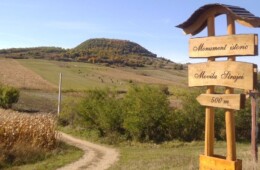 Așezare -Movila Strajei „Dealul Gâlmeiului”