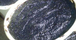 La facut de silvoita