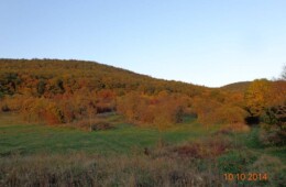 Piatra Uriașului – Bolovanu de la Pietrii