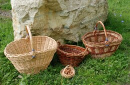 Invitație „Programul Național Școala Altfel”