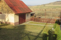 Curățenia la Bârlea