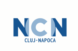 Reportaj – NCN- Cluj- Primar, Julean Dorel Florinel