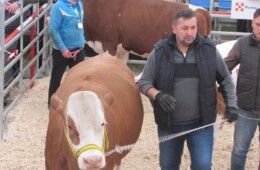 Titlul de „MISS AGRARIA” -2017, câștigat de fermierul Rus Ilie Mircea