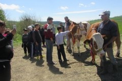 18403166_1897374500538782_4294475631763408259_n