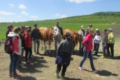 18403566_1897370843872481_5226508308413849134_n