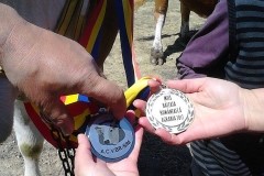 18423690_1897557527187146_2530514382678525200_n