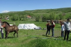 18423773_1897374647205434_5707484014207993325_n