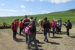 18424052_1897370840539148_5427172290757081413_n